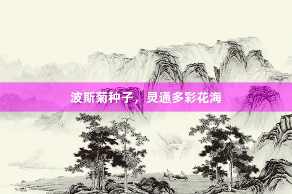 波斯菊种子,灵通多彩花海