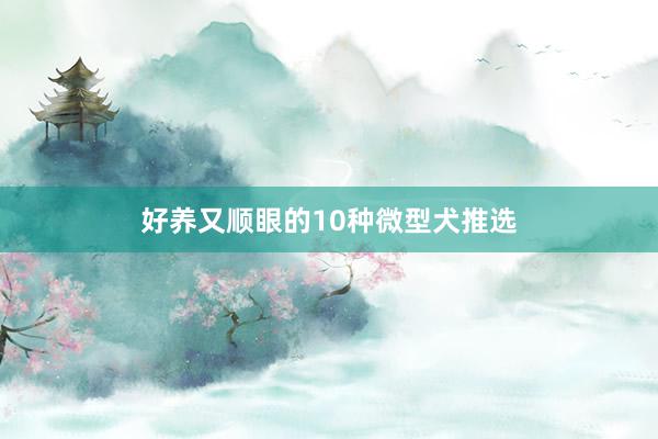 好养又顺眼的10种微型犬推选