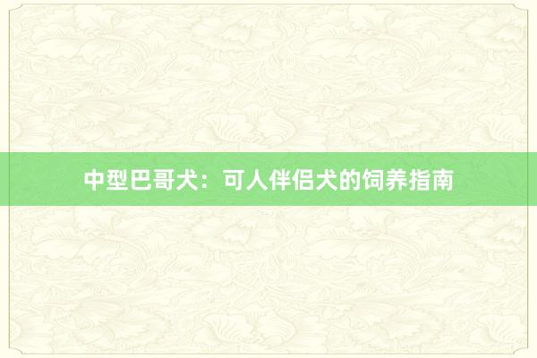 中型巴哥犬:可人伴侣犬的饲养指南