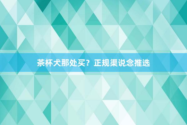 茶杯犬那处买？正规渠说念推选